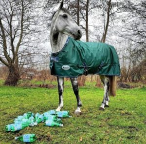Couverture extérieur cheval Green line 300gr en tissu recyclable - Bucas